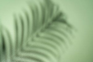 Green background with leaves shadows